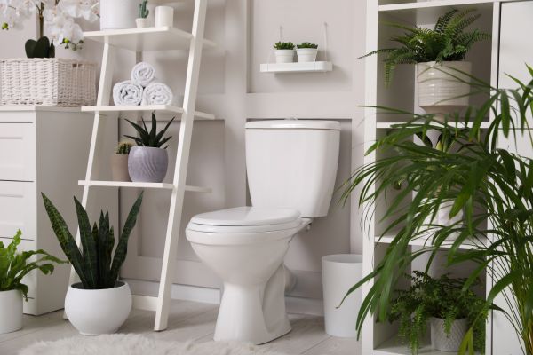 Cost of Toilet Repair in Odessa